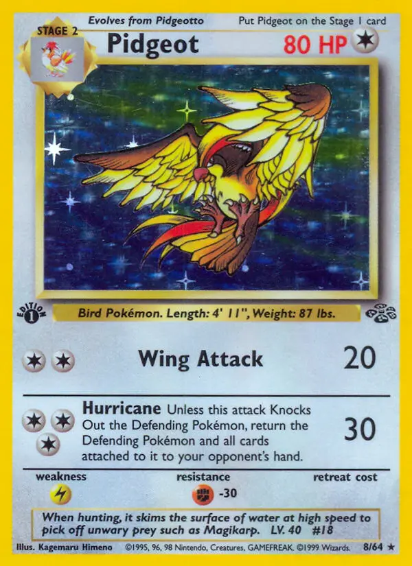 Pidgeot, Jungle #8