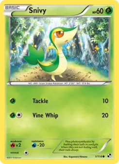 Snivy, Black & White #1/114