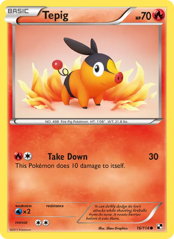 Tepig, Black & White #16