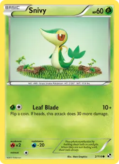 Snivy, Black & White #2/114