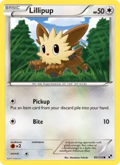 Lillipup, Black & White #80/114