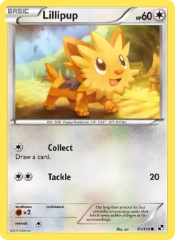Lillipup, Black & White #81/114