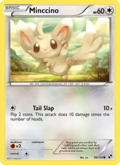 Minccino, Black & White #88/114