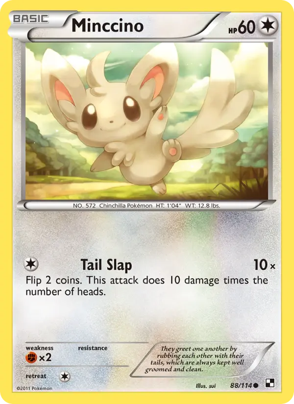 Minccino, Black & White #88