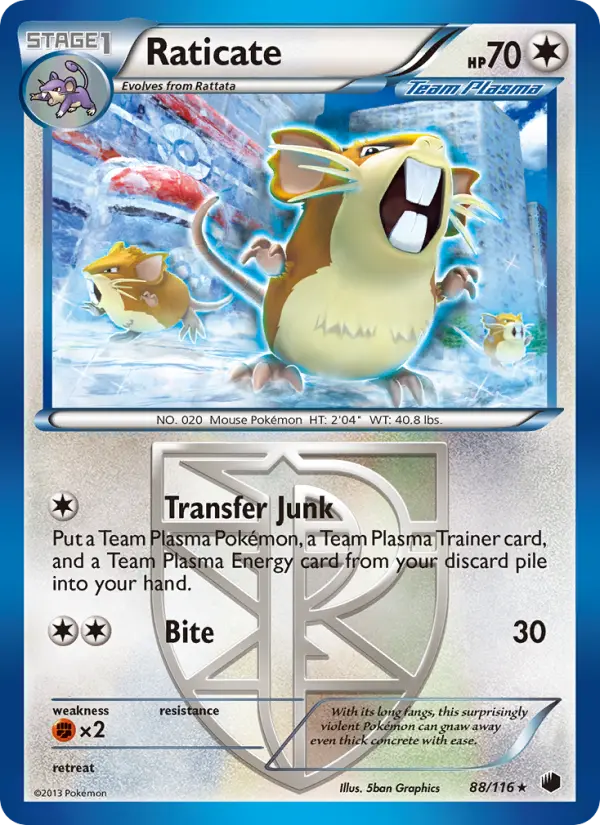 Raticate, Plasma Freeze #88