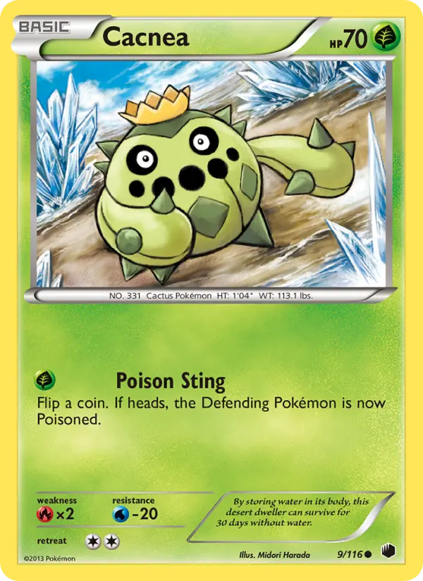 Cacnea, Plasma Freeze #9