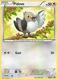 Pidove, BW Black Star Promos #BW15