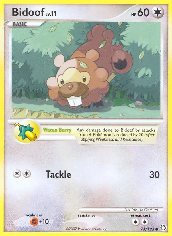 Bidoof, Mysterious Treasures #73