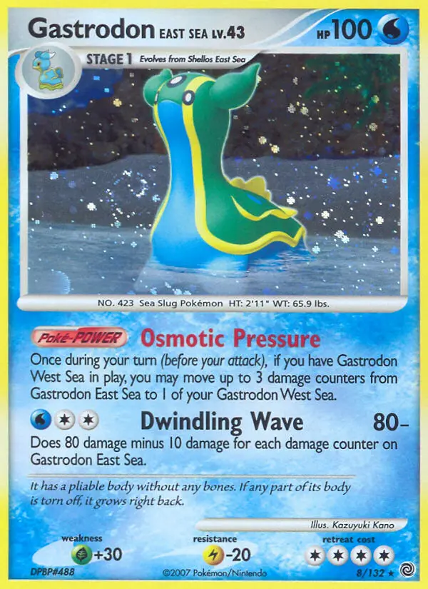 Gastrodon East Sea, Secret Wonders #8