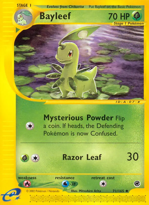 Bayleef, Expedition Base Set #71