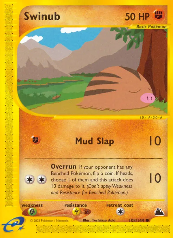 Swinub, Skyridge #108
