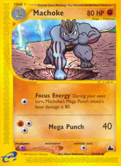 Machoke, Skyridge #38/144