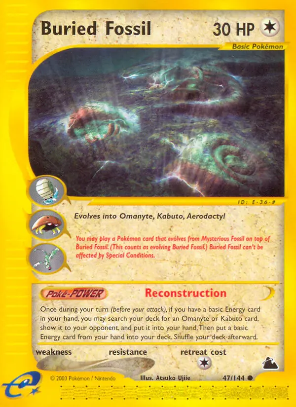 Buried Fossil, Skyridge #47