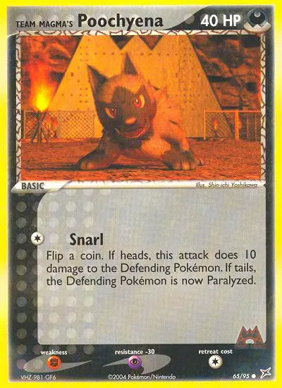 Team Magma's Poochyena, Team Magma vs Team Aqua #65