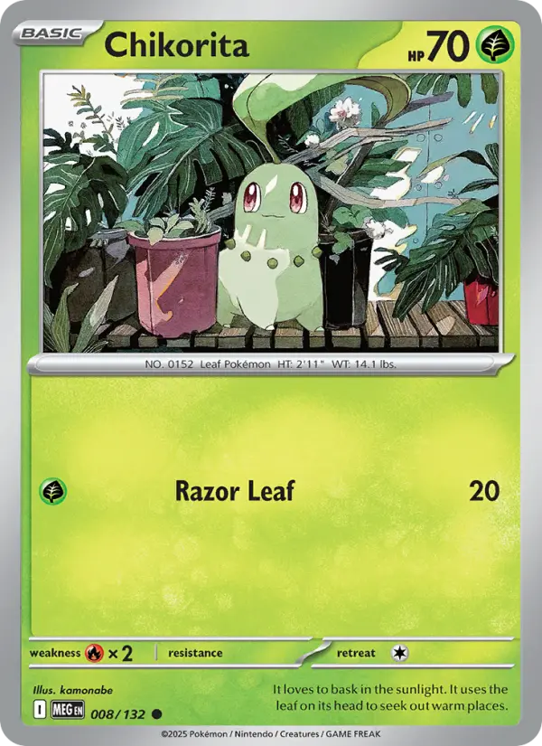 Chikorita, Mega Evolution #8
