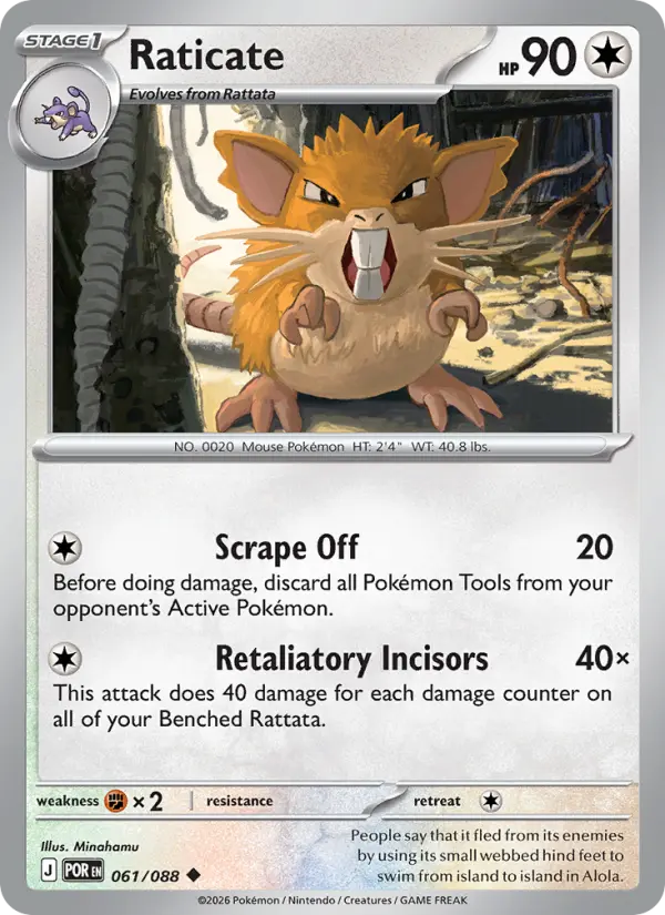 Raticate, Perfect Order #61