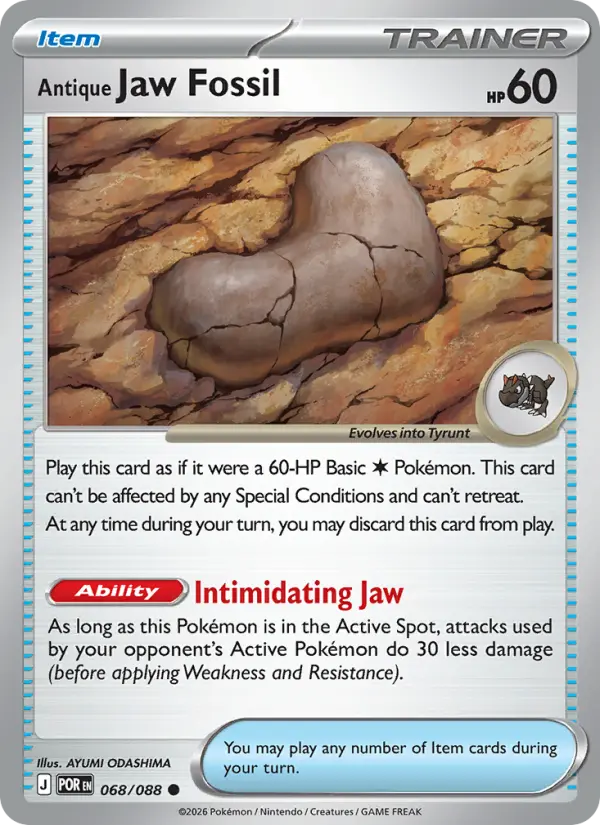 Antique Jaw Fossil, Perfect Order #68