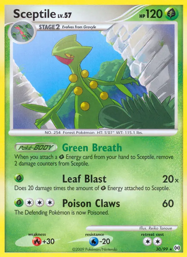 Sceptile, Arceus #30