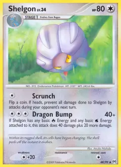 Shelgon, Arceus #48/99