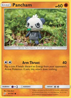 Pancham, Team Up #81/181