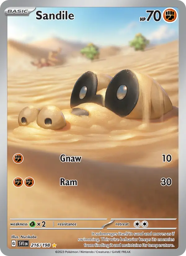 Sandile, Scarlet & Violet #216