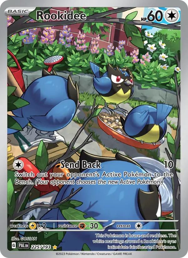 Rookidee, Paldea Evolved #225