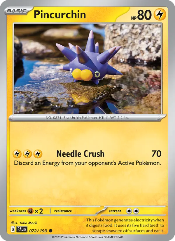 Pincurchin, Paldea Evolved #72