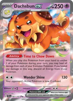 Dachsbun ex, Stellar Crown #67/142