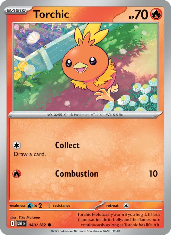 Torchic, Destined Rivals #40