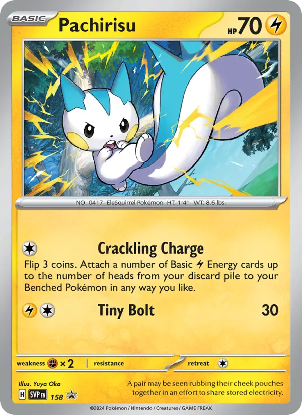 Pachirisu, SVP Black Star Promos #158