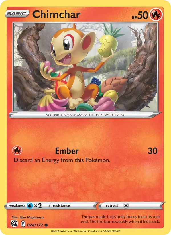 Chimchar, Brilliant Stars #24