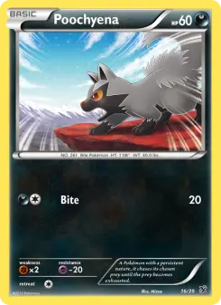 Poochyena, Kalos Starter Set #16/39