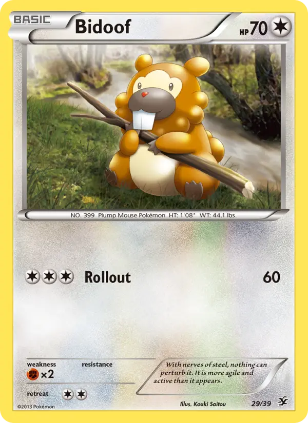Bidoof, Kalos Starter Set #29