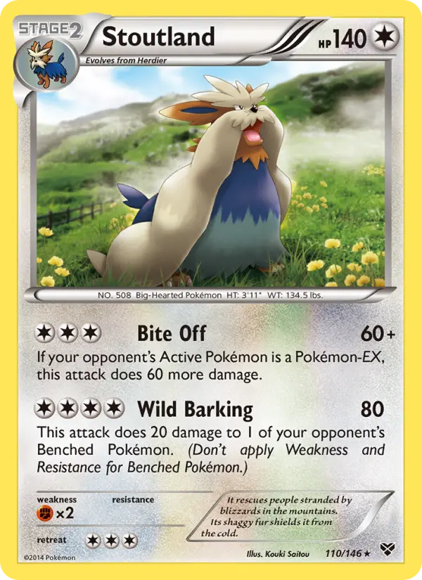 Stoutland, XY #110