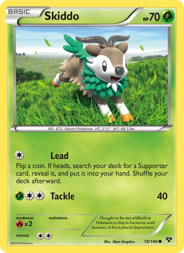 Skiddo, XY #18