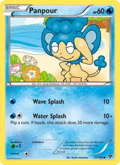 Panpour, XY #37/146