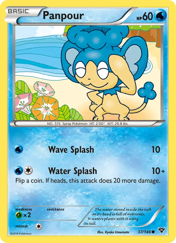 Panpour, XY #37