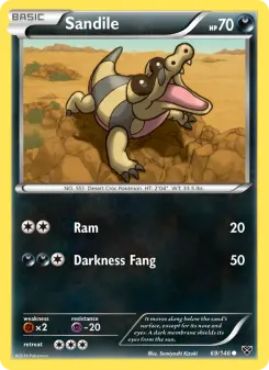 Sandile, XY #69/146