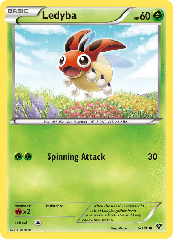Ledyba, XY #6
