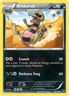 Krokorok, XY #70/146