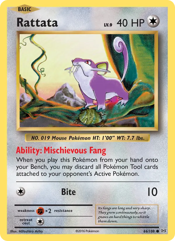 Rattata, Evolutions #66