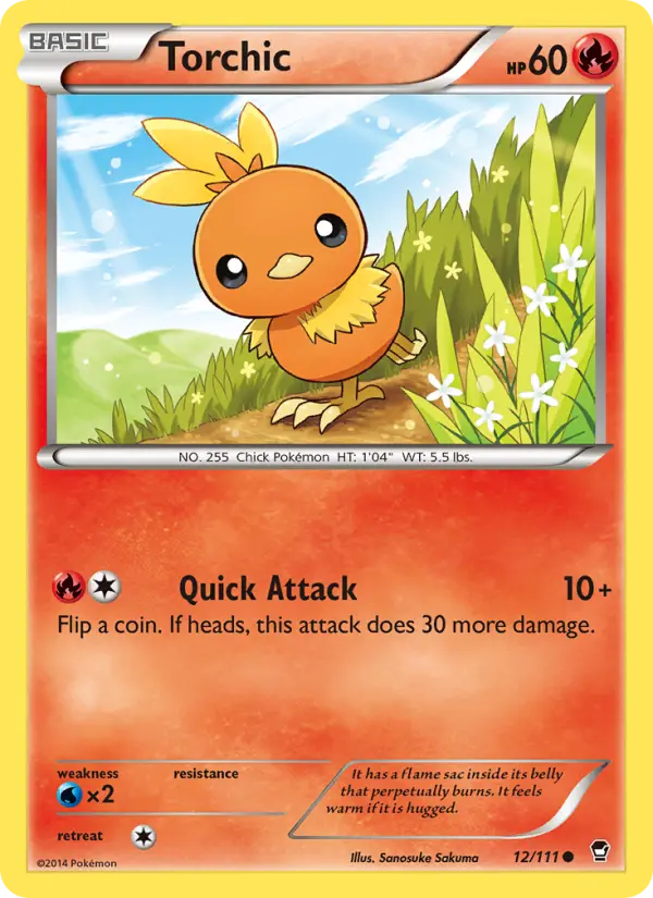 Torchic, Furious Fists #12