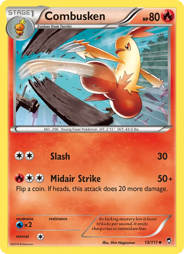 Combusken, Furious Fists #13
