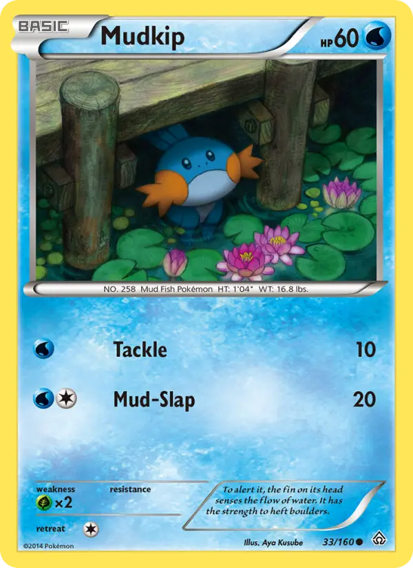 Mudkip, Primal Clash #33
