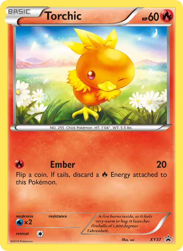 Torchic, XY Black Star Promos #XY37