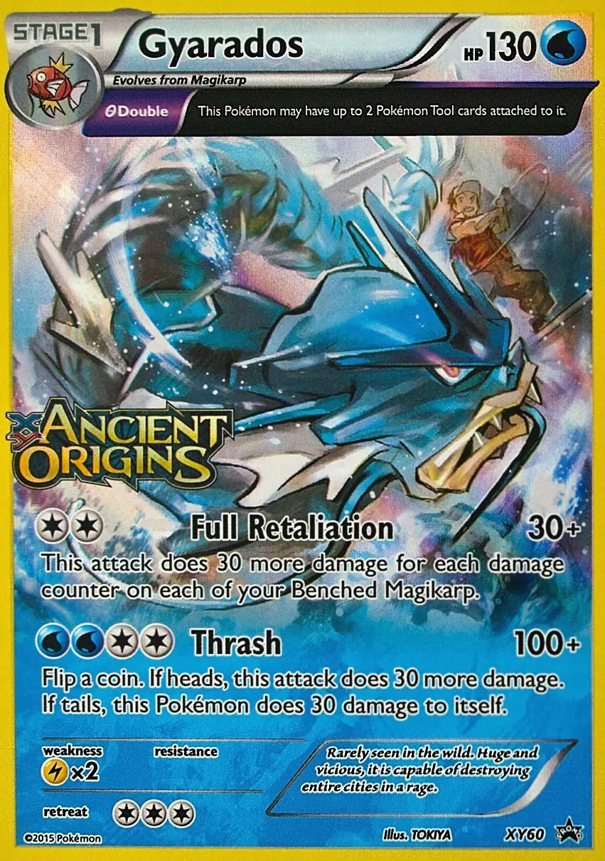 Gyarados, XY Black Star Promos #XY60